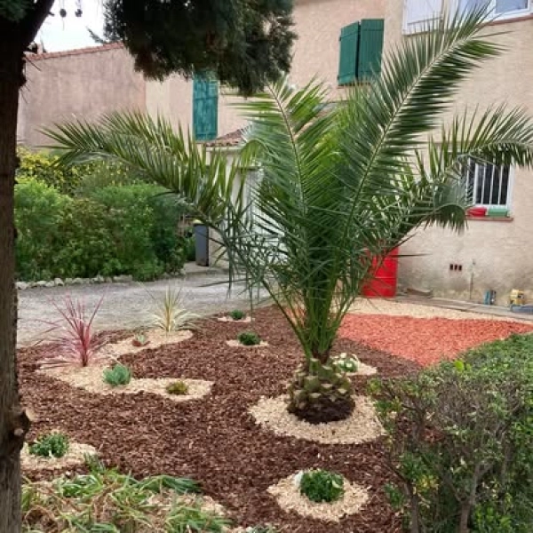 Élagage et taille d’arbres à Toulon